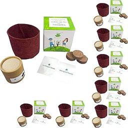 Sow and Grow Grow Your Own Seasonal Flower Premium Kit - Pack Of 8 - Best Return Gift For Kids Birthday Party - Corporate Gifting-image-26