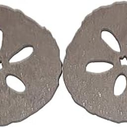 Aquatic Custom Tile Sand Dollar Porcelain Swimming Pool Step Marker Mosaic (4",Prima) (2 pack)-16