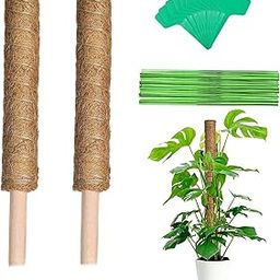 2-Pack 24 Inch Moss Poles for Climbing Plants Monstera Pothos, Stackable Coir Totem Pole Stakes Grow Stick for Plant Support Extension-picture-26