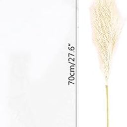 HEAVENGLOW Faux Artificial Pampas Grass 70cm Decor Bouquet for Home Decor Beige-image-50