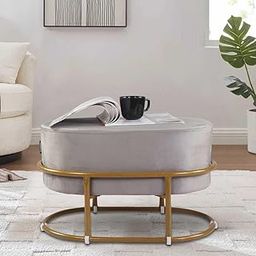 LIVINGLOOM Velvet Upholstered Ottoman with Foot Vanity Makeup Stools,Side Stool for Bedroom Living Room, Fabric Sofa, Round Stools, Sitting pier, Fabric Sofa, Round Stool (Grey)-image-72