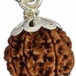 Vaidik Rudraksha Brown Certificate Lab Test & X-ray Report with Silver Capping| Rudraksha for Men & Women-picture-20