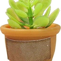 CALANDIS™ 1/12 Dollhouse Resin Mini Bonsai Scenery Supplies for Balcony Decor Style C | Modern | Clothes & Accessories | Dolls-image-46