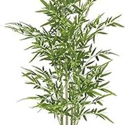 Artificial Bamboo Plant | Made by Hand-Selected Natural Bamboo Trunks, Real Touch Leaves Without Pot | Best for Gifting | Party, Wedding and Home Decor GAJW3300 (Ht. 120CM)-14