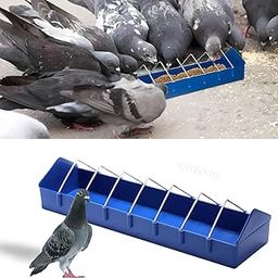 VAYINATO Plastic Poultry Food Tray for Pigeon, Chicken and Pets Garden Outdoor Use Ground Bird Feeder (Blue),40 cm,H_5 cm,W_8 cm-picture-5