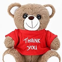 Webby Plush Thank You Teddy Bear Soft Toys | Return Gift and Decoration Item | Adorable and Huggable Stuffed Teddy Bear with Printed T-Shirt for Kids and Adults-25