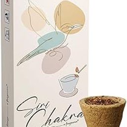 Tanjore Sambrani Dhoop Cups for Pooja – Pack of 10 | Pure Guggal Resin Havan Cups | Natural Dhoop for Home, Meditation, Spiritual Cleansing & Daily Rituals-image-57