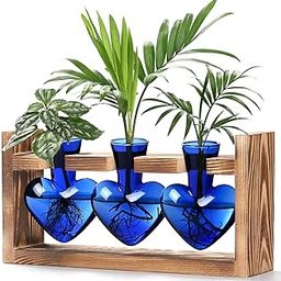 Lifecapido Heart Shaped Propagation Stations, Plant Terrarium with Wooden Stand, Plant Propagation Station for Hydroponics Plants Office Garden Home Decor, Gifts for Women Plant Lover (3 Vases, Blue)-image-38