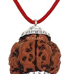 5 Mukhi Rudraksha Original Certified Silver Coated Pendant | Natural Five Face Nepali Bead | Astrological Benefits | Unisex Design for Men & Women-picture-2