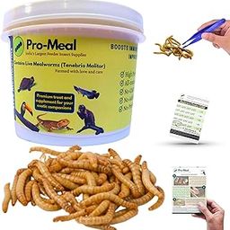 Pro-Meal Live Larvae Mealworms - Hight Protien Treat Food For Aquarium Fishes Like Arowana, Flowerhorn And Birds, Reptiles, Monkeys And Other Pets Of All Life Stages (250 Larvae), 1 Count-26