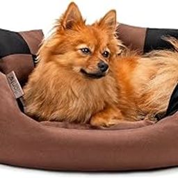 Empire World Velvet Dog Bed Washable Cat Beds for Indoor Cats and Puppy, Dog Bed Sofa for Dogs, Gift for Dogs and Cats, Oval Bed. (Black-Brown, L 55 x B 40 X H 17 cm)-image-45