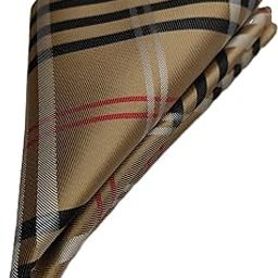 France Men's Designer Pocket Square Paisley Satin Microfiber Free Size-image-74