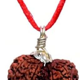 नेपाली गौरी शंकर रुद्राक्ष Gauri Shankar Rudraksha Original Certified Hindu Religious Bead Gori Sankar Rudraksha Pendant Shiv Parvati Rudraksha Gaurishankar Rudraksha Shiv Shakti Rudraksha-9