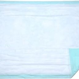 Large Disposable Bed Pad 10 Count (Size 28Wx36L) - Bed and Chair Underpad Incontinence Protection for Adult, Child, or Pets - Absorbent Waterproof Chux-image-97