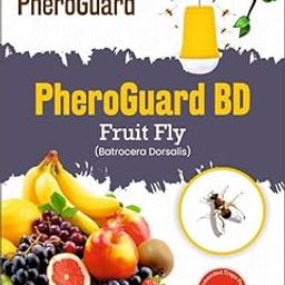 Agrosiaa Pheroguard BD Bactrocera Dorsalis Lure | Fruit Fly Control for Agriculture |Pack of 5 | 40-45 Days Effective Life | Eco-Friendly Pest Solution (Traps Not Included)-24