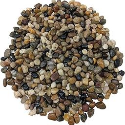 Foodie Puppies Natural Polished Gravel Stone (3Kg) (1.5cm - 3.5cm) River Rocks Decorative Stones, Filler for Plants, Aquariums/Fish Tanks, Crafting, Landscape - Multipurpose Uses Stones-3