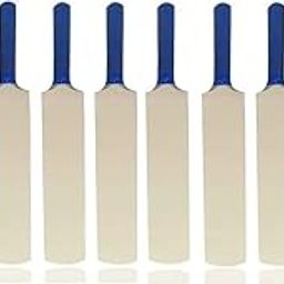 AEM™ Miniature Autograph Showpiece Cricket Bat 12 Inch Pack of 10 (They Can't be Used for Paying Cricket)-image-34