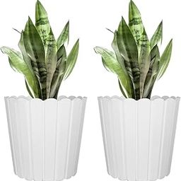 GARDENS NEED 12-Inch (30.48 cm) Thai Flower Pot | Round Shape, Set of 2, White Planter for Indoor & Outdoor | UV-Resistant, Lightweight Plastic Pots| Ideal for Flowers, Herbs, and Small Plants-46