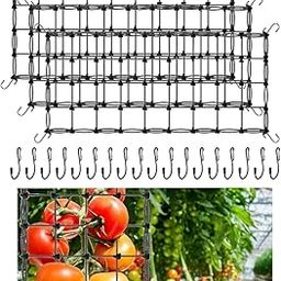 3 PCS Grow Tent Trellis Netting,2X4 Ft Elastic Plant Net with Steel Hooks,Trellis Net for Grow Tent,Stretchy Scrog Net Flexible Hydroponics Scrog Support for Gardening,Horticulture-image-30