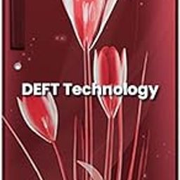CANDY 185 L Direct Cool Single Door 2 Star Refrigerator with Stabilizer Free Operation & Glossy Finish (Red Lily, CSD1962RL)-picture-27