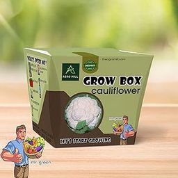 Organic Cauliflower Vegetable Grow Box/KIT | Includes Large Pot,Potting Mix,Seeds,Scraper Tool,Root-O-Shoot,Plant NUTRIFIER,Bug Deterrence Powder,Perfect for Home Kitchen Garden,DIY & Gifts-image-42