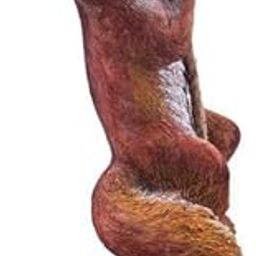 The Decorshed Squirrel on Rope for Home Garden Trees, Tree Care, Home Decor, Garden Decor, Gardening, Gifts for New Home-image-11