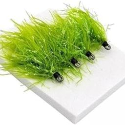 The Style Sutra 2x4x Fly Fishing Lures Father's Day Lifelike Anglers Outdoor Fly Fishing Flies 1.77cmx0.6cm|Sporting Goods | Fishing | Baits, Lures & Flies-image-65