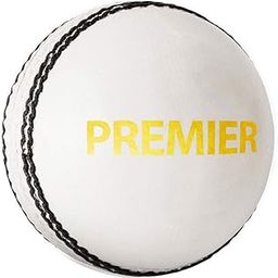 DSC Premier Leather Cricket Ball (White)-image-57