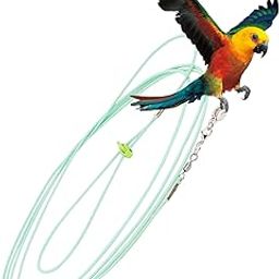 Bird Belt, Bird Harness, Harness for Birds Parrot Suit with Leash for Cockatiels, Flying Clothes Rope and Handle Outdoor Activities Training-image-11