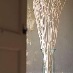 Vanchai 5 STEM 30" Long Real Dried White Curly Willow Decor, Natural Wood Diffuser Stems Stick for Vase,Natural Decor for Home, Office, Living Room, Wedding, Party, DIY Crafts, Modern Decorations-12