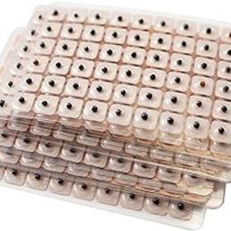 GMAcu Acupressure Ear Seed Kit, 600 Vaccaria Seeds, Acupuncture Seeds-image-56