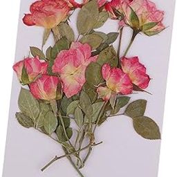 VELURA 10 Pieces Multiple Pressed Flowers, Rose Buds with Leaves, Real Pressed Dried Flowers for Handmade Scrapboking Wedding Card DIY Resin Jewelry Craft Floral Art Decor|10 Pieces Dried Flowers-image-48