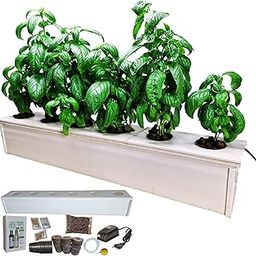 GREENLOOP Hydroponic Kit for Home, Deep 4 inch Depth, Complete-with Air Pump-Nutrients-Seeds-Grow Plugs, for 6 Plants. 2 feet Long-picture-3