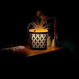 XILLION Warm Light LED Flower Pot for Indoor Home Deco (Table Top Pot)-image-15