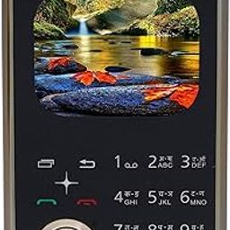 Snexian All-New Bold X2 Attractive Premium Dual Sim |Keypad Mobile| with 2.01" Display| BT Dialer | Card Phone|Voice Changer|Auto Call Recording|Long Lasting Battery| FM| Camera|Feature Phone| Gold-27