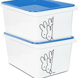 Nayasa Lego Print Stack N Store 5 Litres Multipurpose Storage Container with Lid - Set of 2 | Blue-14