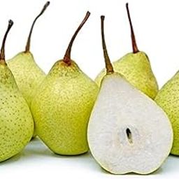 Fresh Pear Indian Nashpati Fruit, 500 g-image-77