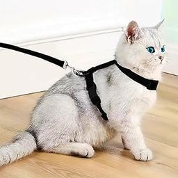 Buraq Pets Plain Full Body Cat Harness with Leash Set for Walking, Outdoor, Escape Proof Cat Belt, Adjustable & Durable Ideal Accessories for Cats (Black)-23