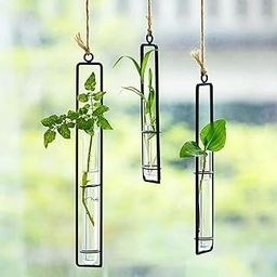 ecofynd Pack of 3 Metal Wall Hanging Test Tube Planter, Air Planter Flower Bud Vase Holder with 3 Test Tube for Indoor & Outdoor, Home Decor Hydroponic Plant Stand for Living Room, Office (TTP011)-image-42