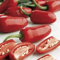 VibeX F1 Hybrid Red Jalapeno Hot Chili Pepper Seeds-250 Seeds-image-37