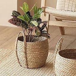 UJEAVETTE Woven Planter Basket Ornament Plant Container for Office Yard Indoor Outdoor 35cmx35cmx28cm-image-25