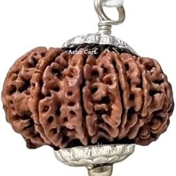 Brown 21 Mukhi Rudraksha From Nepal Origin 21 Face Rudraksha Original Certified इक्कीस मुखी रुद्राक्ष Natural Ikkis|Ekkis Mukhi Twenty One Face Rudraksha For Pendant-23