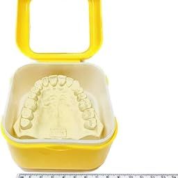 ADDLER DENTAL DENTURE BOX, DENTURE BATH CASE BOX HOLDER STORAGE SOAK CONTAINER WITH STRAINER BASKET, RETAINER CLEANING. (AUTOCLAVABLE) QTY:- 1-15