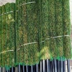 BHAJANLAL GREENERY Moss Stick Green Grass Pole (2, 3 ft) - Set of 2-image-5