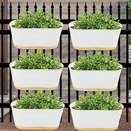ecofynd 12 Inches Aurelia Railing Planters for Balcony, Hanging Pots for Plants, Wall Hanging Decorative Planters for Vertical Garden, Oval,12 inches, Pack of 6 (White)-image-64