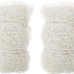 Raisco 712 Nylon Feet Nylon Ball Goal Net 2Pcs Pair (White, Blue)-picture-24