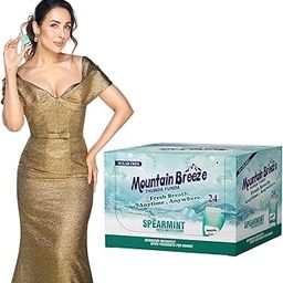 Mountain Breeze Sugar-Free Spearmint Fresh Breath Strips (18 Strips Each) Pack of 24-picture-17