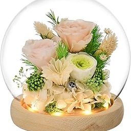 GiftGuru Mothers Day, Flowers for Delivery Prime, Rose in Glass Dome with LED Light - Gifts for Women Mom Grandma Her Girlfriend Wife-image-30