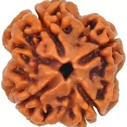 Four mukhi Rudraksha is Original bead Certified, Quality Pure Char Mukhi Rudraksha four Face Chaturmukhi Rudraksha Chaarmukhee Rudraksha beadX07-image-44