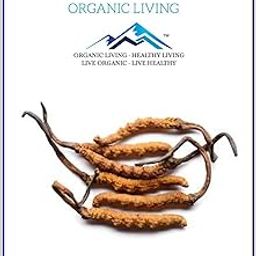 Mystique Cordyceps Sinensis Powder 50g – Premium Caterpillar Fungus Mushroom Extract for Energy, Immunity, and Vitality Support, Pure & Natural-image-93